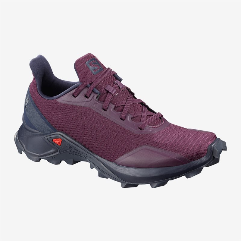 Salomon 2025 alphacross femme